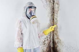 Why You Should Choose Our Mold Remediation Services in Manassas, VA